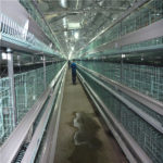 Modern poultry farming cascading poultry automation farming equipment