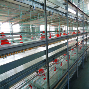 poultry drinking system