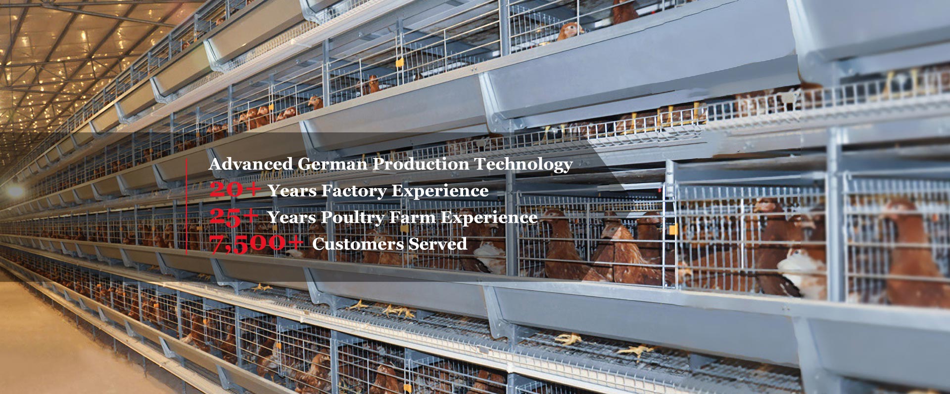 poultry-farming-equipment-battery-chicken-cage-system