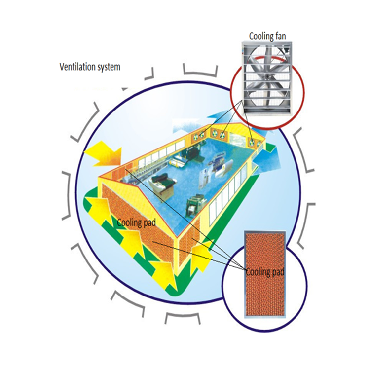 Environmental control equipment for poultry farming in Livi