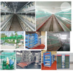 The advantage of fully automatic poultry farming equipment used in farms