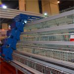 Benefits of automation of poultry farming equipment