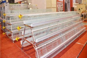 A type battery chicken brooder cages