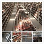 China Supplier Layer Chicken Cages For Sale in Zimbabwe