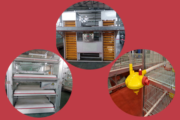 battery poultry cages for layers
