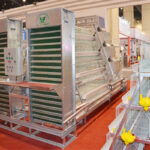 Attractive Battery Brooder Cages for Sale with High Quality