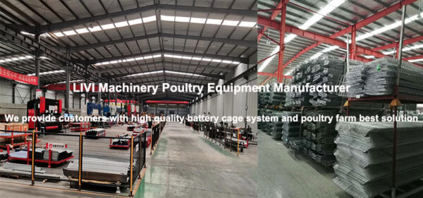 poultry farming equipment supplier