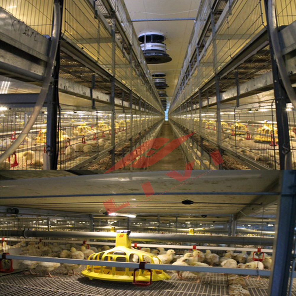 Broiler Cage Systems