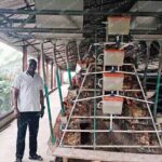 20000 birds layer chicken cage for sale in Zambia Lusaka