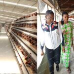 26 year-old woman using poultry cage system successfully runs modern farm