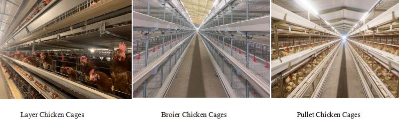 poultry raising equipment chicken cage system for sale