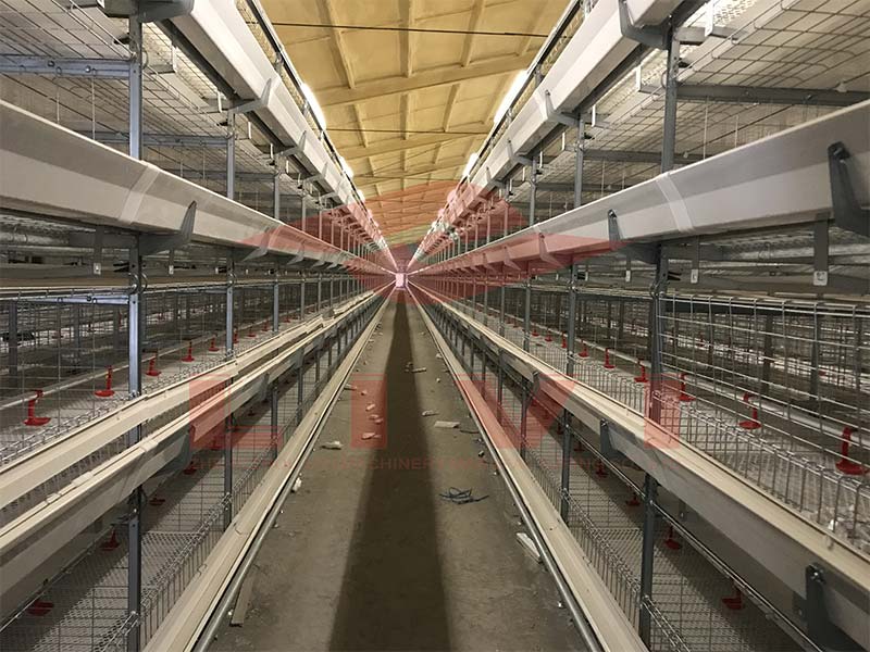 H-Type 4 Tier broiler cage 