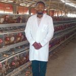 Suitable for novice farmers using poultry farming battery cages