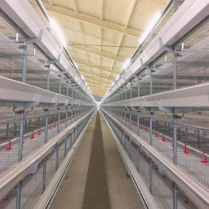 broiler battery cage
