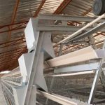 20000 Layer Chicken Farming Battery Cage System Solution