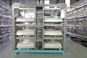 chickens cage system poultry manure removal equipment