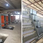 Types of Battery Cages for 20,000 Layers in Uganda
