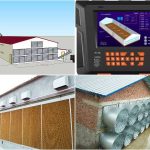 Chicken House Cooling Poultry Equipment for 50,000 Chicken Farms