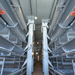 30K Layers Chicken Raising System Equipment in Chicken House