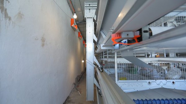automatic poultry farming equipment