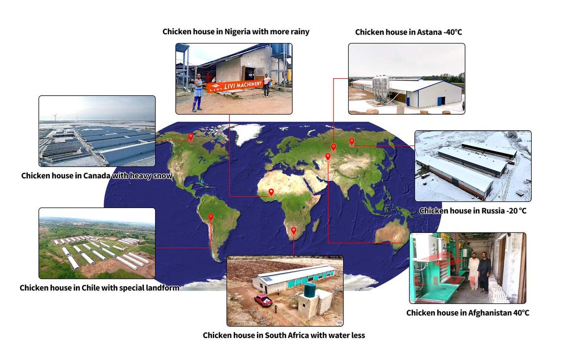 LIVI poultry farm customization experience in different countries and climates