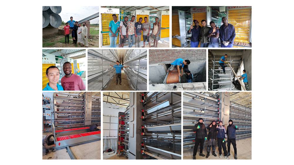LIVI poultry farm customer visits and installation support
