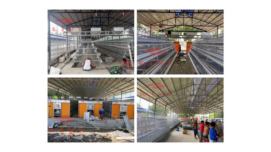 20000 layer A-type cage poultry project in the Philippines