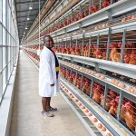 What Equipment Is Included in a Complete Automatic Poultry Farming System?